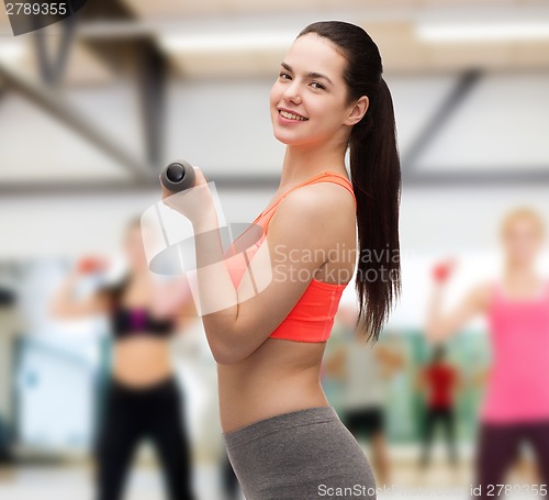 Image of young sporty woman with light dumbbells