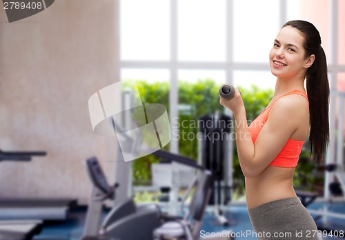 Image of young sporty woman with light dumbbells