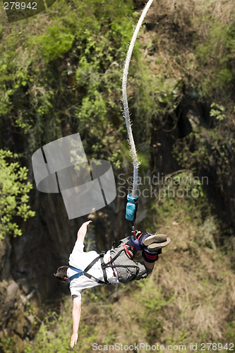 Image of Bungi jump