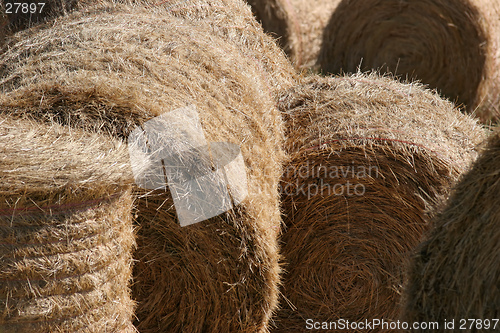 Image of hay bales