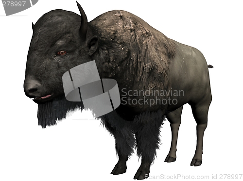 Image of Bison