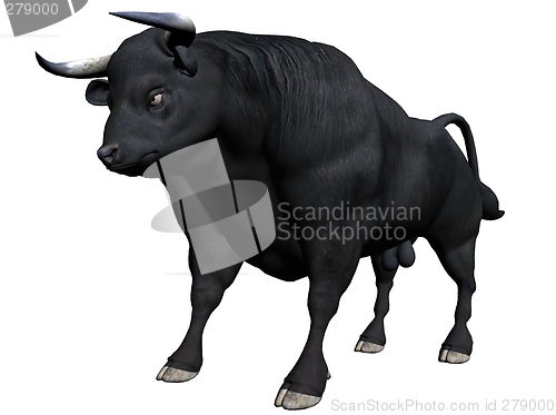 Image of Bull