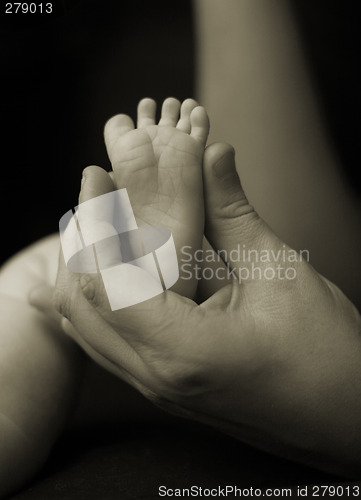 Image of Babyfoot in hand