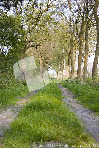 Image of Tracked path through rural landscape