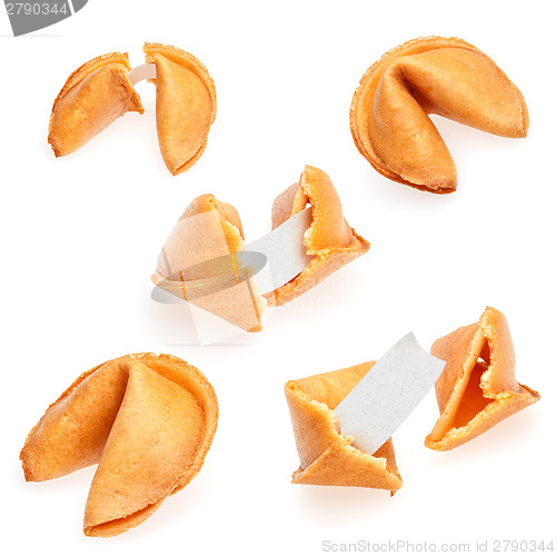 Image of Fortune cookies