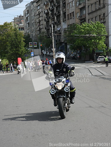 Image of Belgrade Marathon 2014.