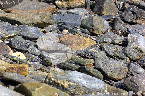 Image of Seashore Stone Texture