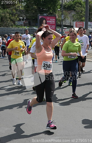 Image of Belgrade Marathon 2014.