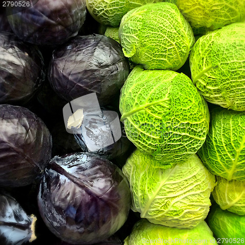 Image of Red and savoy cabbage