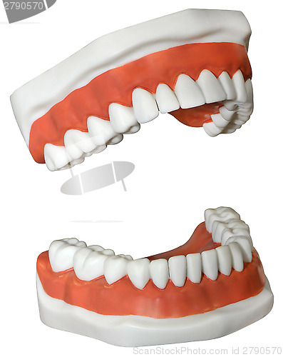 Image of Medical Dentures