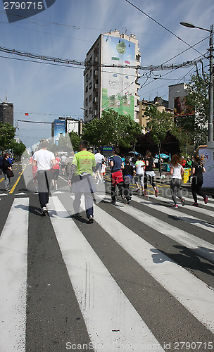 Image of Belgrade Marathon 2014.