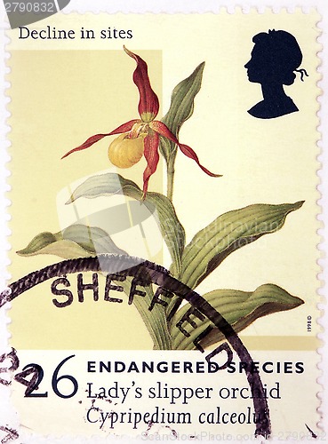 Image of Orchid Stamp