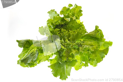 Image of Green salad