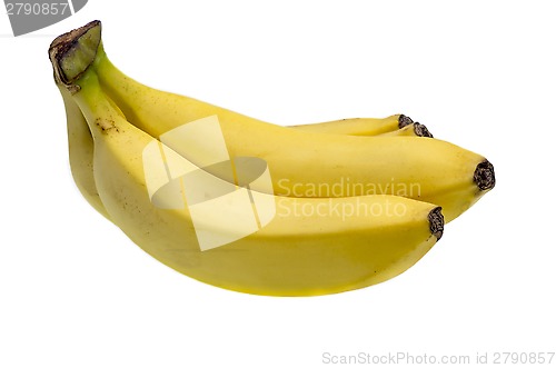 Image of Fresh yellow bananas