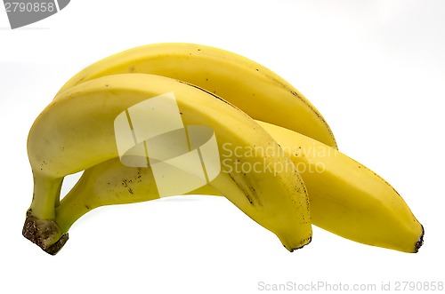 Image of Bananas