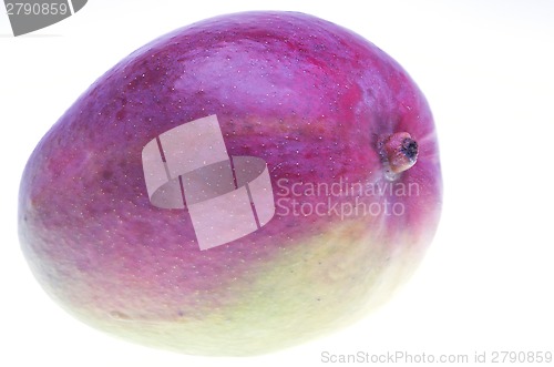 Image of Mango