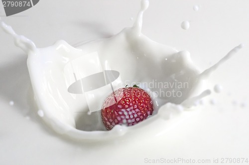 Image of Splashing strawberry