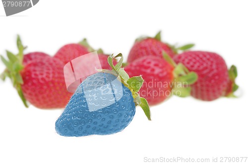 Image of Modified food - strawberry