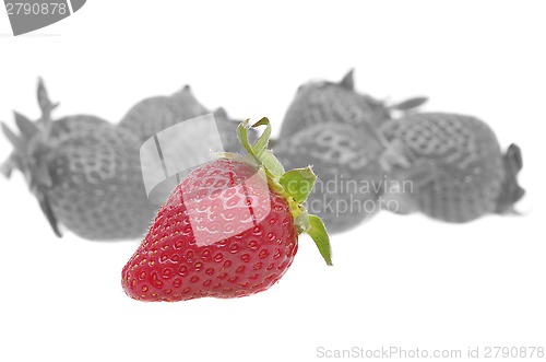 Image of Genetically strawberry concept