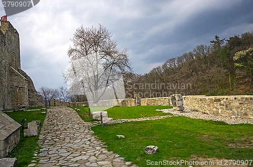 Image of Neamt fortress ruins