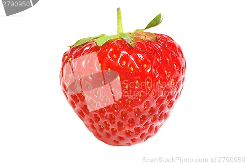 Image of Strawberry