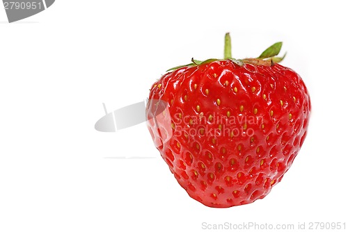 Image of Strawberry isolated