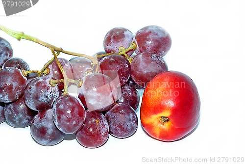 Image of Grapes and nectarine