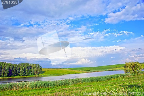 Image of Beautiful summer landscape