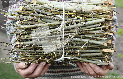 Image of  Bunch of branches