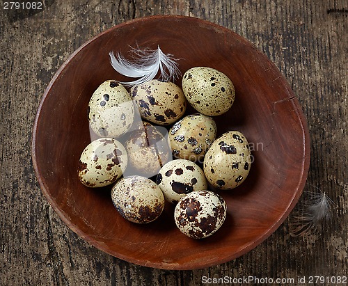 Image of quail eggs