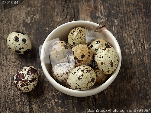 Image of quail eggs