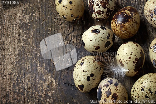 Image of quail eggs