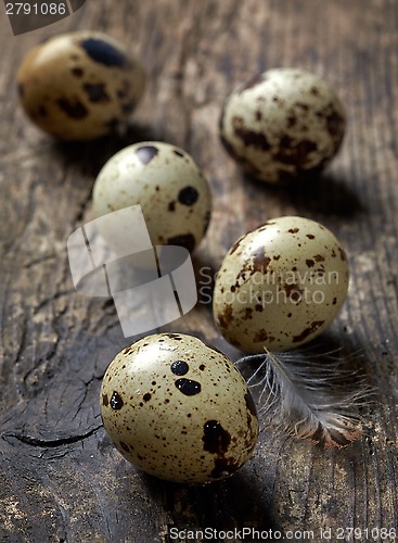 Image of quail eggs