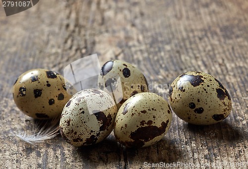 Image of quail eggs