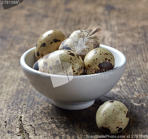 Image of quail eggs