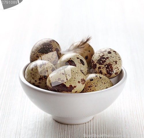 Image of quail eggs