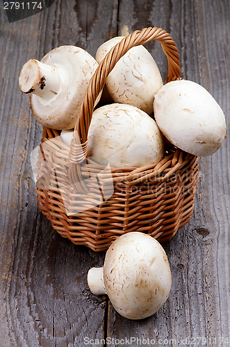 Image of Raw Champignons