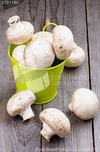 Image of Raw Champignons