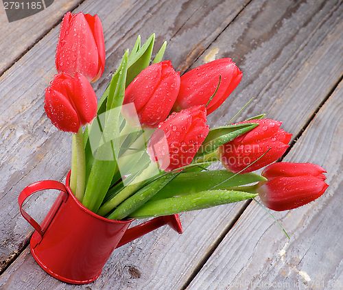 Image of Spring Tulips