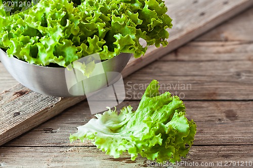 Image of lettuce salad in metal bowl
