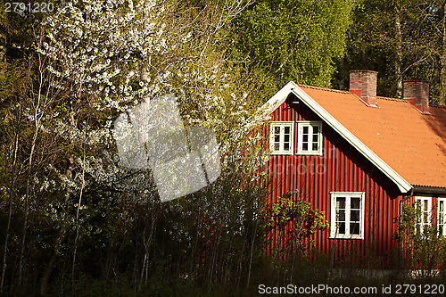 Image of The red romantic house