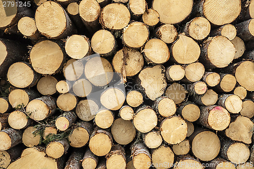 Image of wood logs