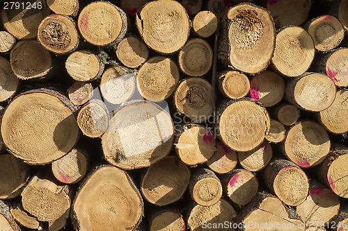 Image of wood logs