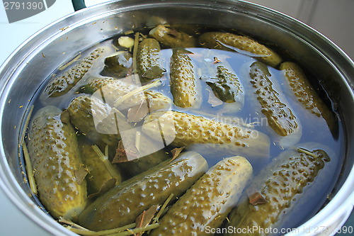 Image of crispy salted cucumbers