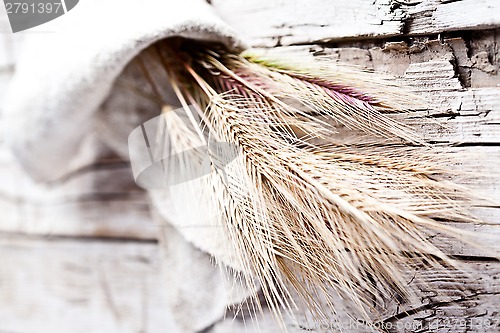 Image of wheat ears 