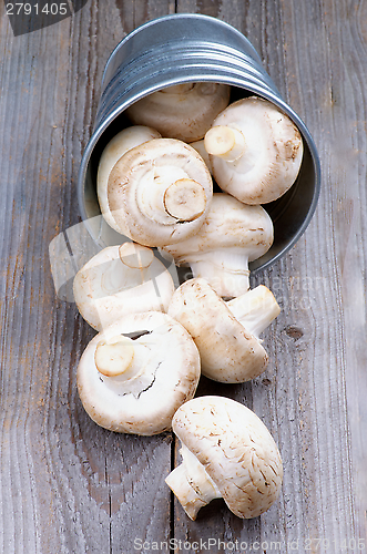Image of Big Raw Champignons