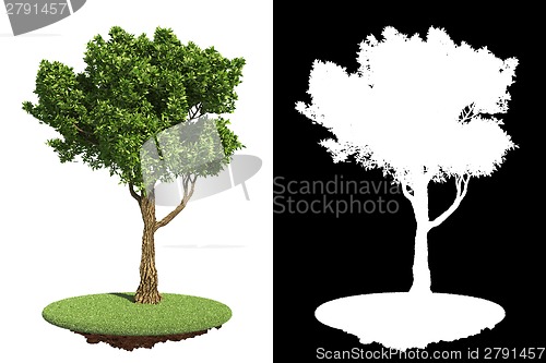 Image of Park's Green Tree with Detail Raster Mask.