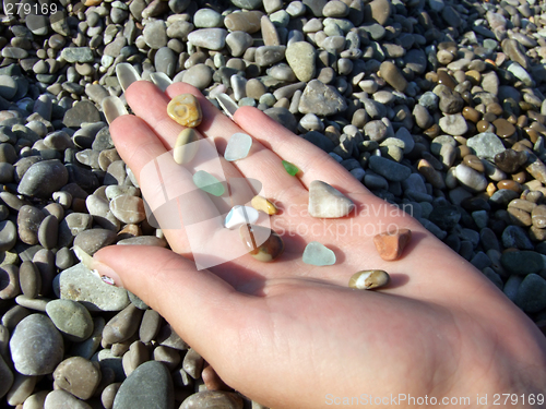 Image of Multi-coloured pebble and glass on a female palm2