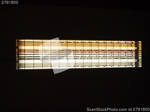 Image of Neon light lamp