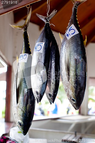 Image of tuna fish at market